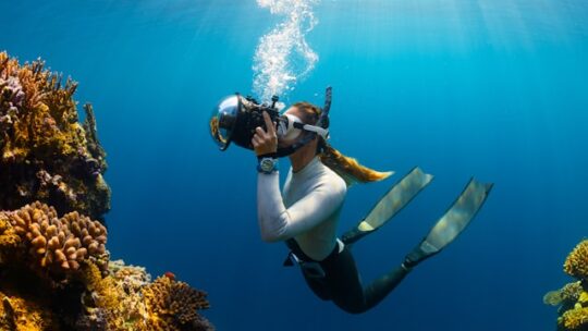 La plongée sous-marine: sur votre liste d’expériences!