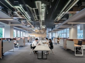 expérience employé