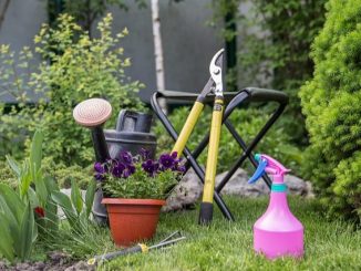 outils de jardinage