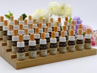 la naturopathie