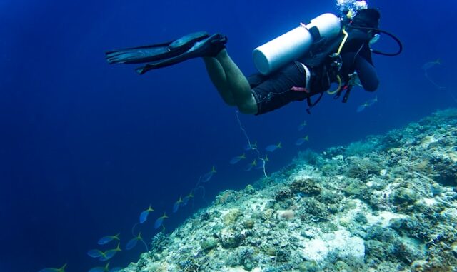 plongée sous-marine